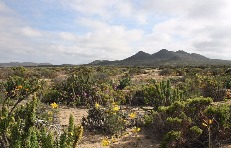 parque nacional llanos de challe